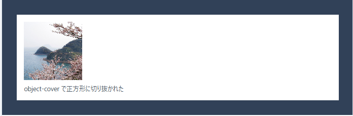 TailwindCSS object-coverで正方形に切り抜かれた例