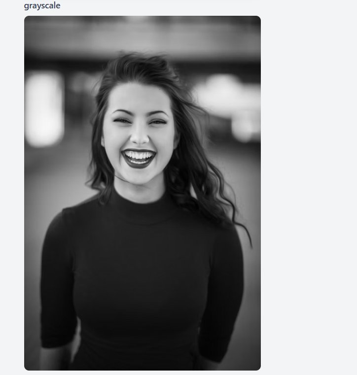 白黒フィルターのみ適用した画像